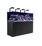 Red Sea REEFER G2 Deluxe 750 mit 4 x ReefLED 90 