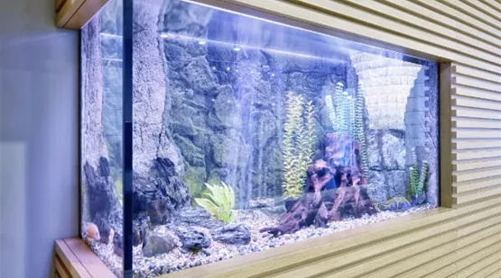 Aquarium Form | Aquatop - Zoofachmarkt für die Aquarisitk