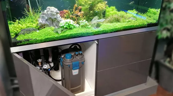 Aquarium mit Sauerstoffpumpe + Filter in Aachen - Eilendorf