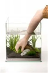 nano-aquarium-einrichten-tipps-dennerle-05.jpg