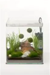 nano-aquarium-einrichten-tipps-dennerle-06.jpg