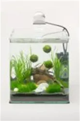 nano-aquarium-einrichten-tipps-dennerle-07.jpg