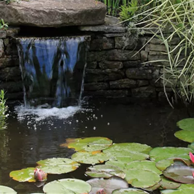 Wasserspiele für den Gartenteich: So bringen Sie Bewegung in Ihre grüne Oase
