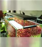 Chihiros WRGB 2 - LED Aquariumleuchte