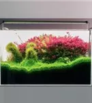 Chihiros B-Serie LED Aquariumleuchte inkl. Bluetooth-Steuerung