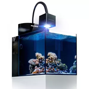 Aqua Medic Blenny Qube Meerwasseraquarium 76 Liter