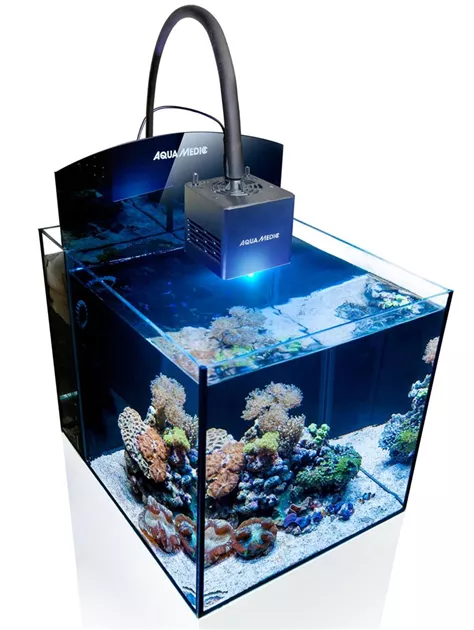 Aqua Medic Blenny Qube Meerwasseraquarium 76 Liter