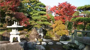 aquatop_in_japan_japanische_koi.jpg