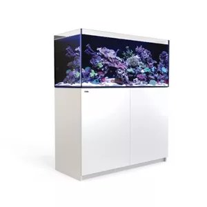 Red Sea REEFER G2 - Meerwasseraquarium