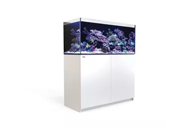 Red Sea REEFER G2 - Meerwasseraquarium