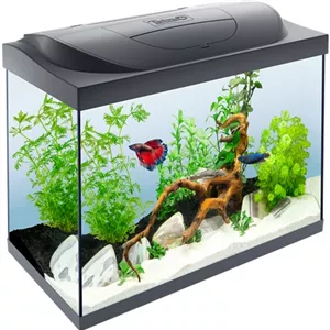 Tetra Starter LED 80 L S&#252;&#223;wasseraquarium