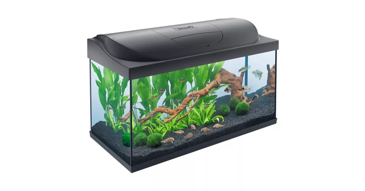 Tetra Starter Line LED 105 Liter Süßwasseraquarium
