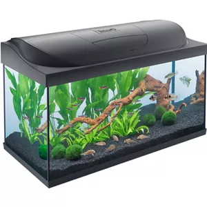 Tetra Starter Line LED 105 Liter S&#252;&#223;wasseraquarium