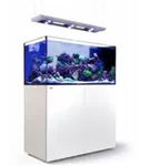 Red Sea REEFER™ Peninsula Deluxe Meerwasseraquarium