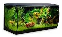 Fluval Flex 123 Liter Aquarium Set