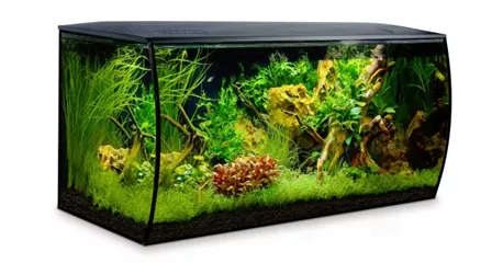 Fluval Flex 123 Liter Aquarium Set