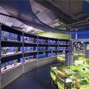 Aquarienarten