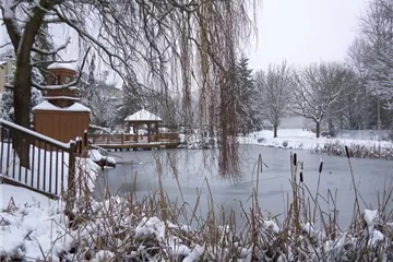 Winterfester Gartenteich 