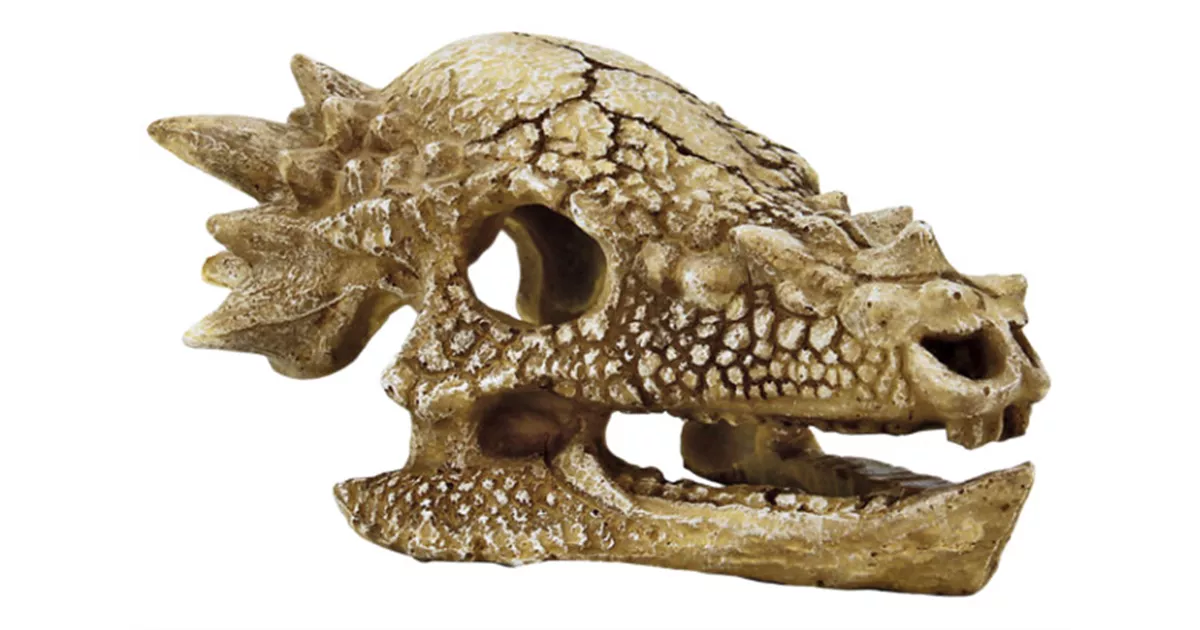 Superfish Schädel T Rex - Aquarium Dekoration