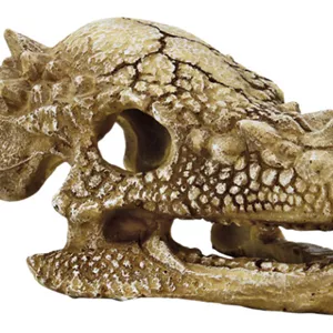 Superfish Schädel T Rex - Aquarium Dekoration