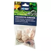 Dohse Sea Shells Set - Muscheln