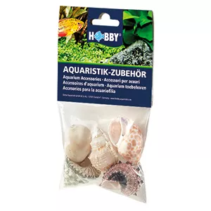 Dohse Sea Shells Set - Muscheln