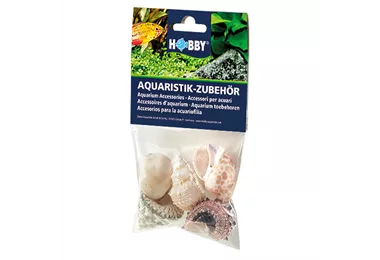 Dohse Sea Shells Set - Muscheln