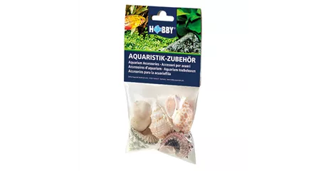 Dohse Sea Shells Set - Muscheln