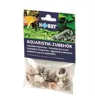 Dohse Sea Shells Set - Muscheln