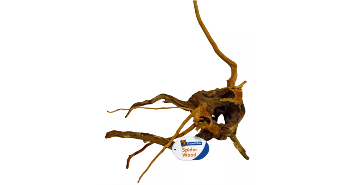 Superfish Aquariendekoration Spiderwood