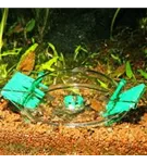 JBL LimCollect II - Chemiefreie Schneckenfalle