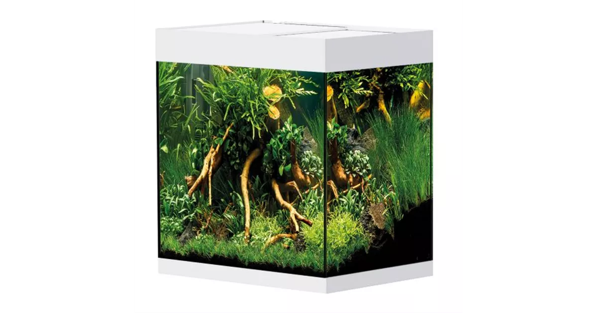 Oase StyleLine 85 Süßwasseraquarium