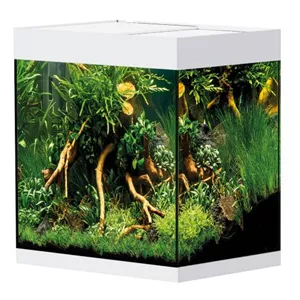 Oase StyleLine 85 S&#252;&#223;wasseraquarium