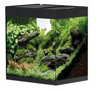 Oase StyleLine 85 Süßwasseraquarium