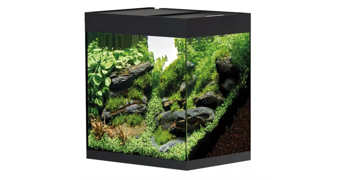 Oase StyleLine 85 Süßwasseraquarium