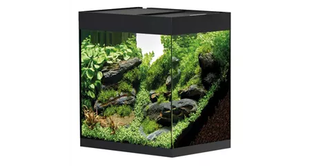 Oase StyleLine 85 Süßwasseraquarium