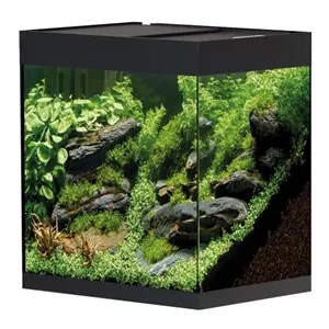 Oase StyleLine 125 S&#252;&#223;wasseraquarium