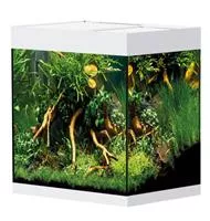 Oase StyleLine 125 Süßwasseraquarium