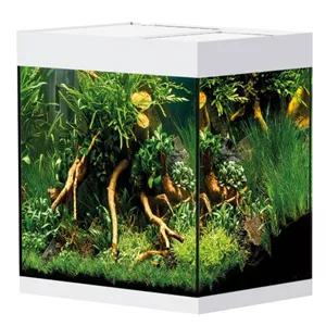 Oase StyleLine 125 S&#252;&#223;wasseraquarium