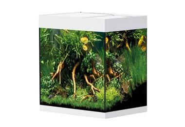 Oase StyleLine 125 Süßwasseraquarium