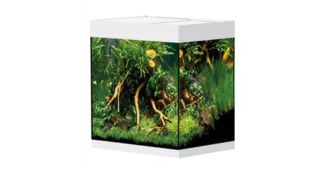 Oase StyleLine 125 Süßwasseraquarium