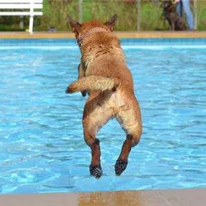 Wunderbare Wasserspiele