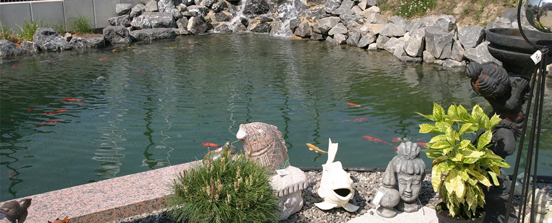 Schauteiche mit Technik und Zubehör | Aquatop - Zoofachmarkt für den Gartenteich