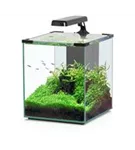 Aquatlantis Nano Cubic 30 - Aquarium 30 Liter