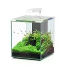 Aquatlantis Nano Cubic 30 - Aquarium 30 Liter