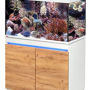 EHEIM incpiria marine 330 - Komplettaquarium 330 Liter