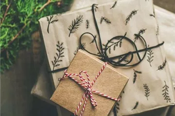 Weihnachten für Teich-Fans: Schöne Geschenke rund um den Gartenteich