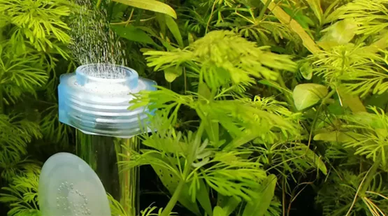 co2-technik-im-aquarium_01.jpg
