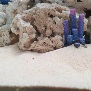 Aquarium Kies, Sand und Co. 