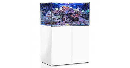 Aqua Medic Armatus XD Meerwasser-Komplettaquarium